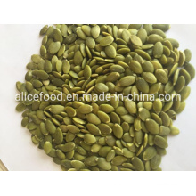 Big Size Factory Directly Sale Pumpkin Seed Kernels